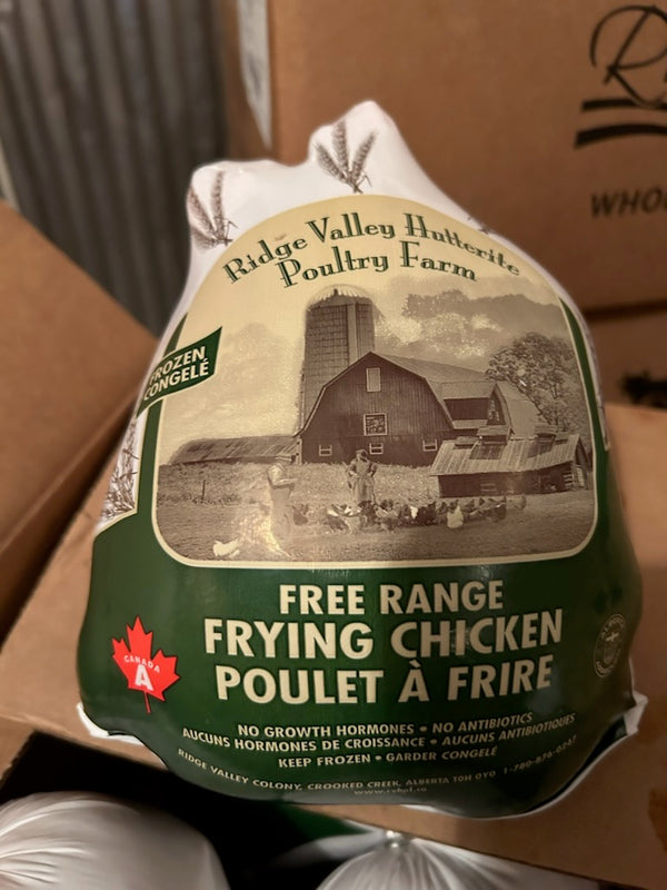 Hutterite fryer chicken sale